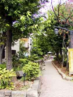 ������e�������[��