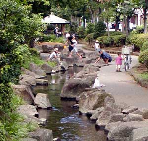 �U���K�j�ނ�Q