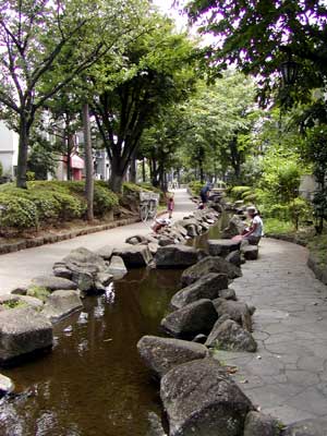 �U���K�j�ނ�S